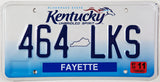 A 2010 Kentucky Passenger Car License Plate from Fayette County