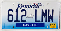 A 2011 Kentucky Passenger Car License Plate from Fayette County