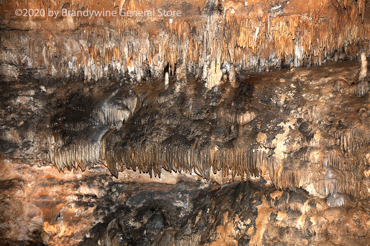 An art print of the fish market formation found in Luray Caverns