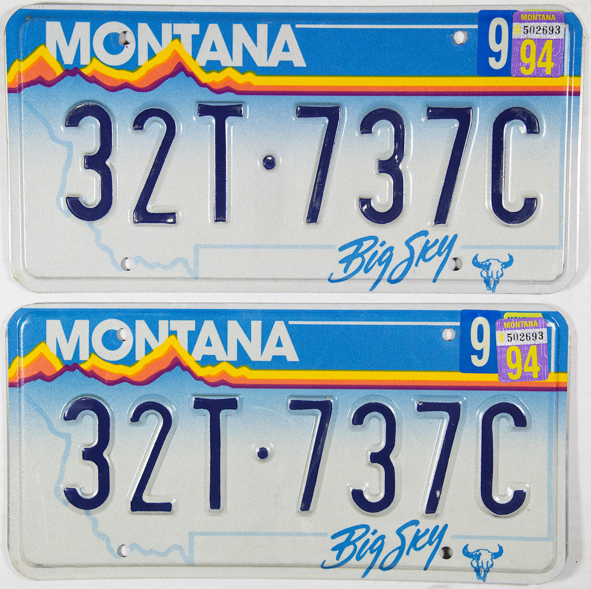 A pair of 1994 Montana Truck License Plates