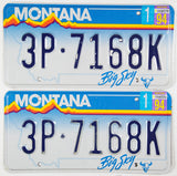 1994 Montana Passenger Car License Plates
