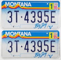 A pair of 1995 Montana Truck License Plates