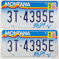 A pair of 1995 Montana Truck License Plates