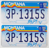 A pair of 1996 Montana Passenger Car License Plates