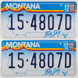 A pair of 1999 Montana Passenger Car License Plates for sale by Brandywine General Store in excellent minus condition