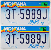 A pair of 1999 Montana Truck License Plates