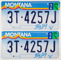 A pair of vintage 2000 Montana Truck License Plates for sale by Brandywine General Store in excellent minus condition