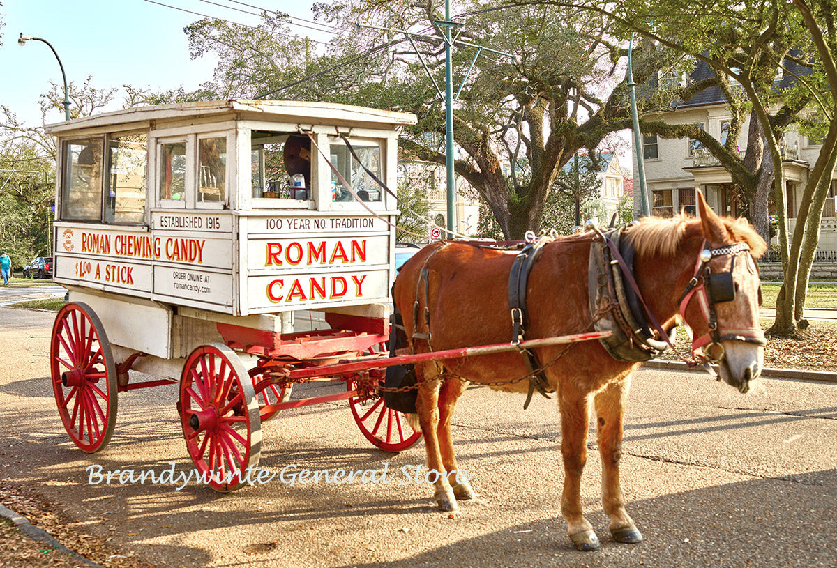 A premium quality art print of New Orleans a Roman Candy Horse Pulled Wagon