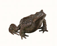 Art print of an early 16th century sculpture of a toad by Paduan