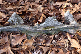 Art print of Ship sailing through the Barren Leaves which is a piece of petrified wood resembling a ship