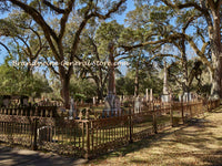 A premium quality art print of Cemetery at Grace Episcopal Church in St. Francisville, LA