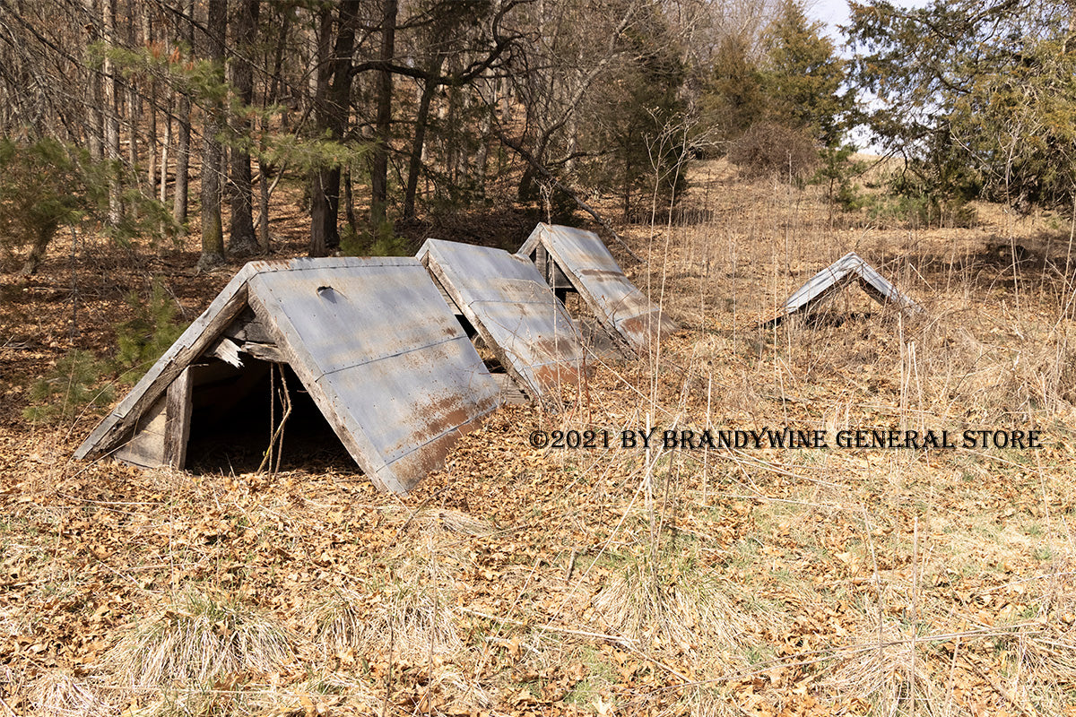 An archival art print of Three Teepee Hog Houses in a Row for sale by Brandywine General Store