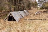 An archival art print of Three Teepee Hog Houses in a Row for sale by Brandywine General Store