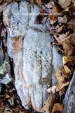 art print of large rock resembling a tooth with a chip