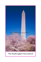 A premium poster of the Washington Monument Surrounded by Cherry Trees
