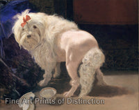 Art Print of The Broken Dish by Anton Schrodl with pampered poodle