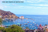 Santa Catalina Island in Los Angeles County California art print