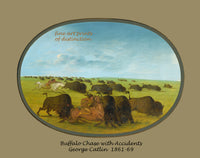 An archival Western poster of Buffalo Chase with Accidents by George Catlin 