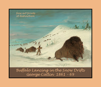 An archival Western poster of Buffalo Lancing in the Snow Drifts by George Catlin