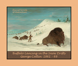An archival Western poster of Buffalo Lancing in the Snow Drifts by George Catlin