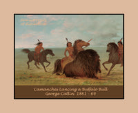 archival poster of Camanches Lancing a Buffalo Bull by George Catlin