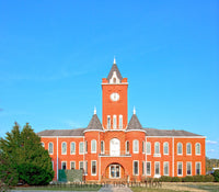 Coffee County Courthouse in Elba, Alabama Art Print