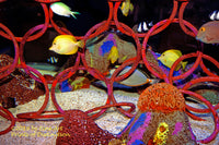 art Print of Tropical Fish in a very colorful Wire Net Reef