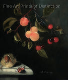 art Print of A Still Life With a Butterfly, Apricots, Cherries and a Chestnut by Adriaen Coorte