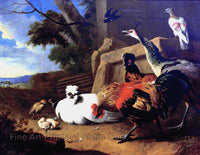 The Poultry Yard painting by Melchior d'Hondecoeter