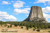 Devil's Tower in a Field of Evergreens Art Print