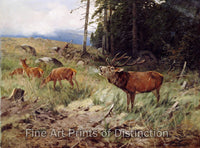 An archival premium Quality art Print of Roaring Deer Near the Forest by Christoffer Drathmann 