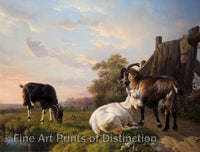 art Print of Goats painting by Eugene Joseph Verboeckhoven 