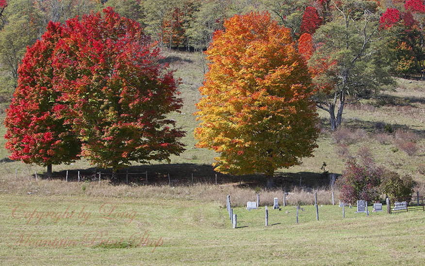 art Print of a Family Cemetery amid Fall Colors on the Mountain Top 
