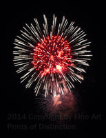 Firework Flower in the Sky Art Print