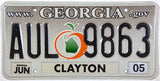 2005 Georgia License Plate