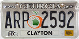 2006 Georgia License Plate