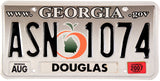 2007 Georgia .gov License Plate Gray Background