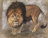 Art Print of A Border Lion painting by Geza Vastagh 