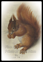 Red Squirrel painting by Hans Hoffman Art Print