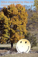 Happy Satellite TV Dish in West Virginia Art Print