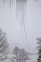 Icicles Framed in the Trees Art Print