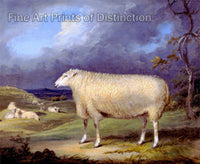 art print of A Border Leicester Ewe painted by James Ward during 1795 to 1800