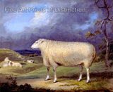 art print of A Border Leicester Ewe painted by James Ward during 1795 to 1800
