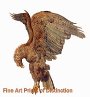 Art Print of the Study of a Plunging Eagle by James Ward