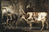 Art Print of Two Extraordinary Oxen, the Property of The Earl of Powis by James Ward