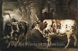 Art Print of Two Extraordinary Oxen, the Property of The Earl of Powis by James Ward