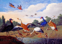 Art Print of Herons and Ducks by a Streamlet by Jan van Kessel the Elder