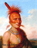An archival art Print of Sharitahrish Native American Portrait by Charles Bird King