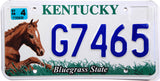 2006 Kentucky Horse Council License Plate