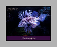A Poster of a Lionfish with Spread Fins